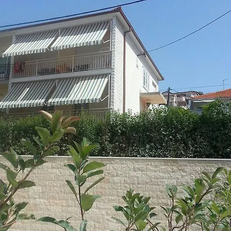 Ivo Trogir