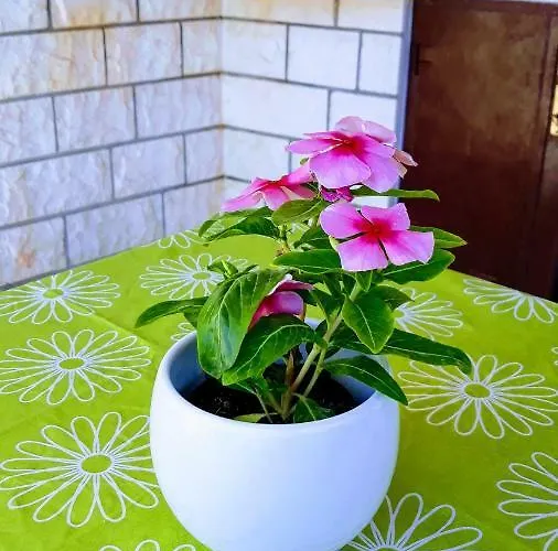 Apartamento Ivo Trogir